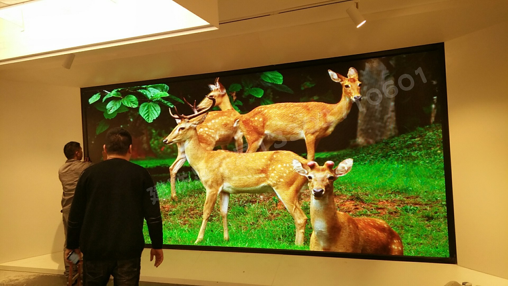 鄭州LED顯示屏 鄭州LED顯示屏